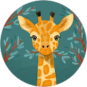 Martina Capek profile picture